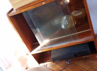 Grajewo ogłoszenia: Sprzedam za symboliczna kwotę . Jest tego więcej . Zainteresowane... - zdjęcie