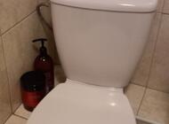 Grajewo ogłoszenia: Posiadam panele 20 m + listwy. Stan bdb. 
Umywalka dł.45 cm.... - zdjęcie