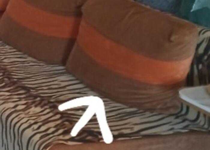 Grajewo ogłoszenia: Sprzedam duże poduchy i zagłówki,zdejmowane pokrowce ,mocny...